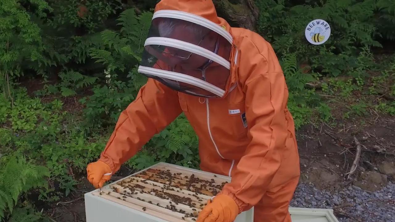The Bee Pods Villa Rossnowlagh ภายนอก รูปภาพ